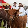 Alton Show 2013